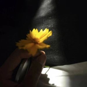 负面陷阱（Prod by Dawn)