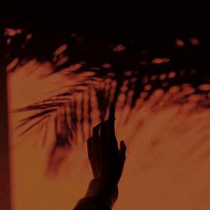 Movies（翻自 DeVita）