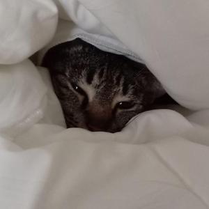 dont sleep (feat. bliiiss)