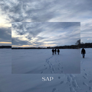 SAP