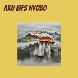 aku wes nyobo