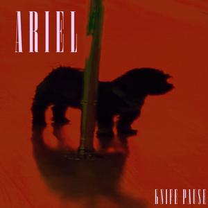 Ariel