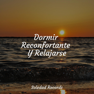 La Repetición Más Suave