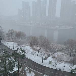 호수에 눈이 내리면