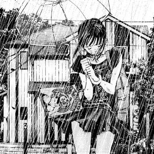 被雨浸透的独白