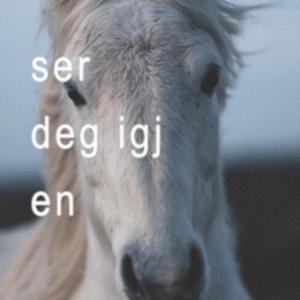 ser deg igjen