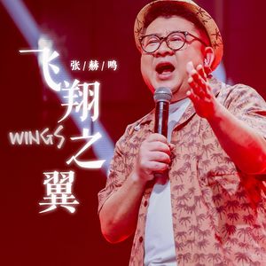 飞翔之翼 伴奏