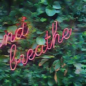 Weekly Return