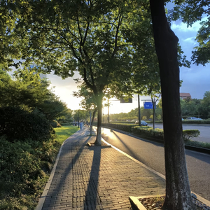 你是夏夜的风