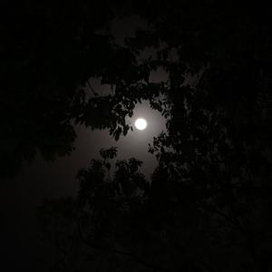 想要你的爱（cover：郑润泽）