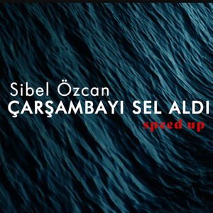 Çarşambayı Sel Aldı (Speed Up)