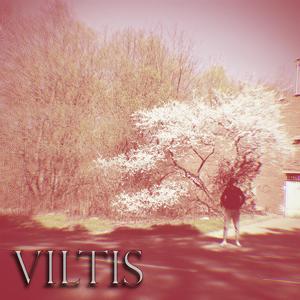 Viltis