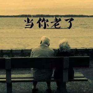 当你老了demo