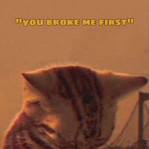 You broke Me Beatutiful