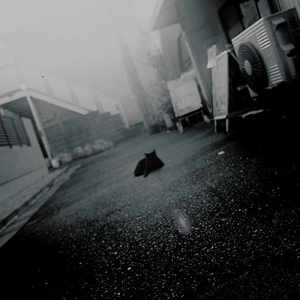 行ったり来たり (弾き語りver)