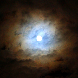 解药（完整版）