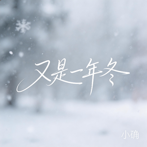 又是一年冬（抖音热播版）