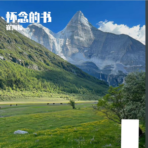 怀念的书