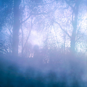 I know this story too well (feat. Oneira)