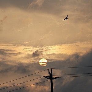 你说我爱你哪里