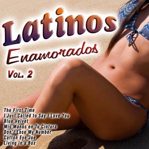 Don't Lose My Number