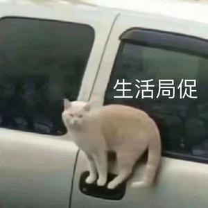 无与伦比的美丽