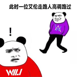 Alan Walker-End of Time - Alan Walker （WiLi Bootleg）（WiLi remix）