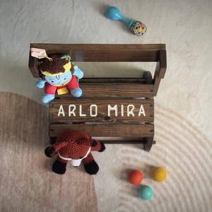 Arlo Mira
