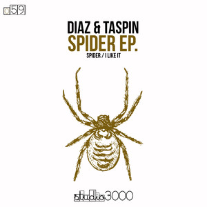 Spider (Original Mix)