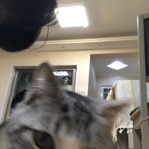 TEA（Pord.by 4Hunnid）