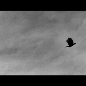 The dream of the dead