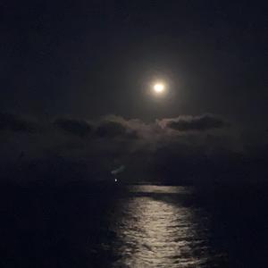 备忘录