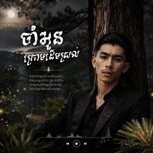 ចាំអូនក្រោមដើមស្រល់