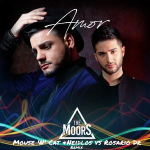 Amor (Mouse 'N' Cat & Neidlos vs Rosario Dr, Remix) (Radio Edit)