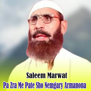 Pa Zra Me Pate Sho Nemgary Armanona