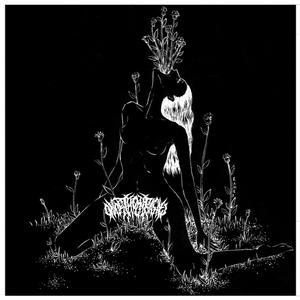 as this darknes is lightened, by the spirit