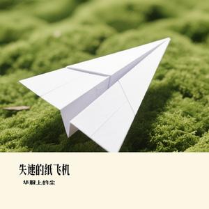 失速的纸飞机