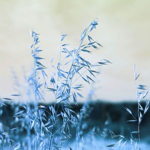 抚慰的泰式按摩回忆