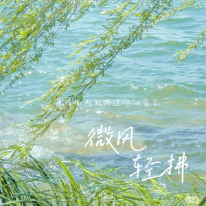 微风轻拂