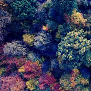 抚慰的在家休息回忆