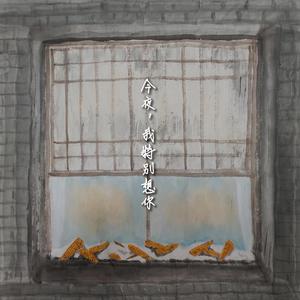 今夜，我特别想你