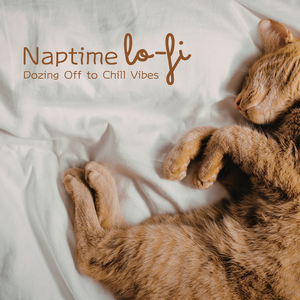 Shades of Soft Afternoon