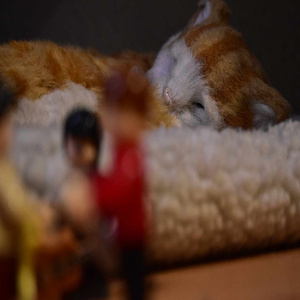 Ella y su gato