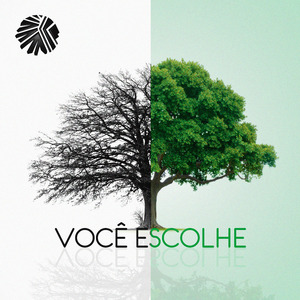Você Escolhe