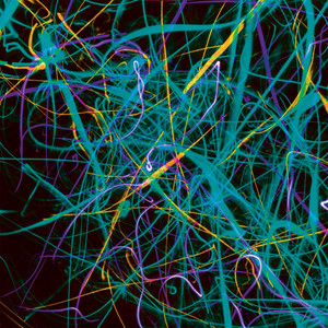 Bring It On (Version)