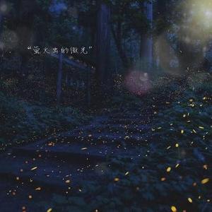 萤火虫的微光_part1