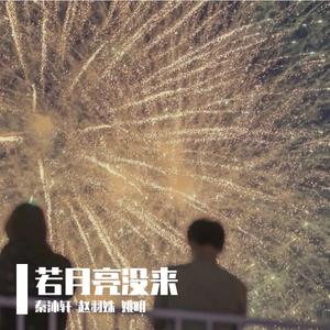 若月亮没来