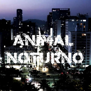 Animal noturno