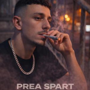 Prea Spart