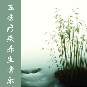 醒脑开窍 五音疗疾养生音乐